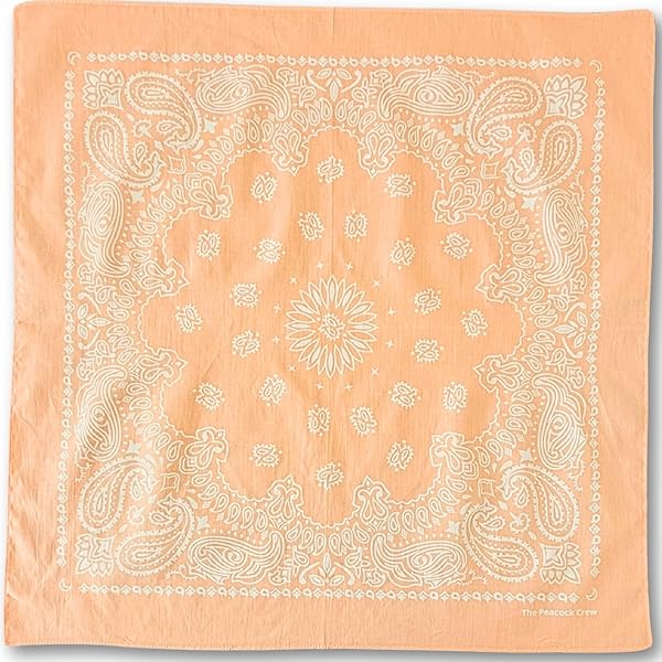 Amazon.com: Hav-A-Hank Floral Coral Paisley Bandanna, 27x27, Made